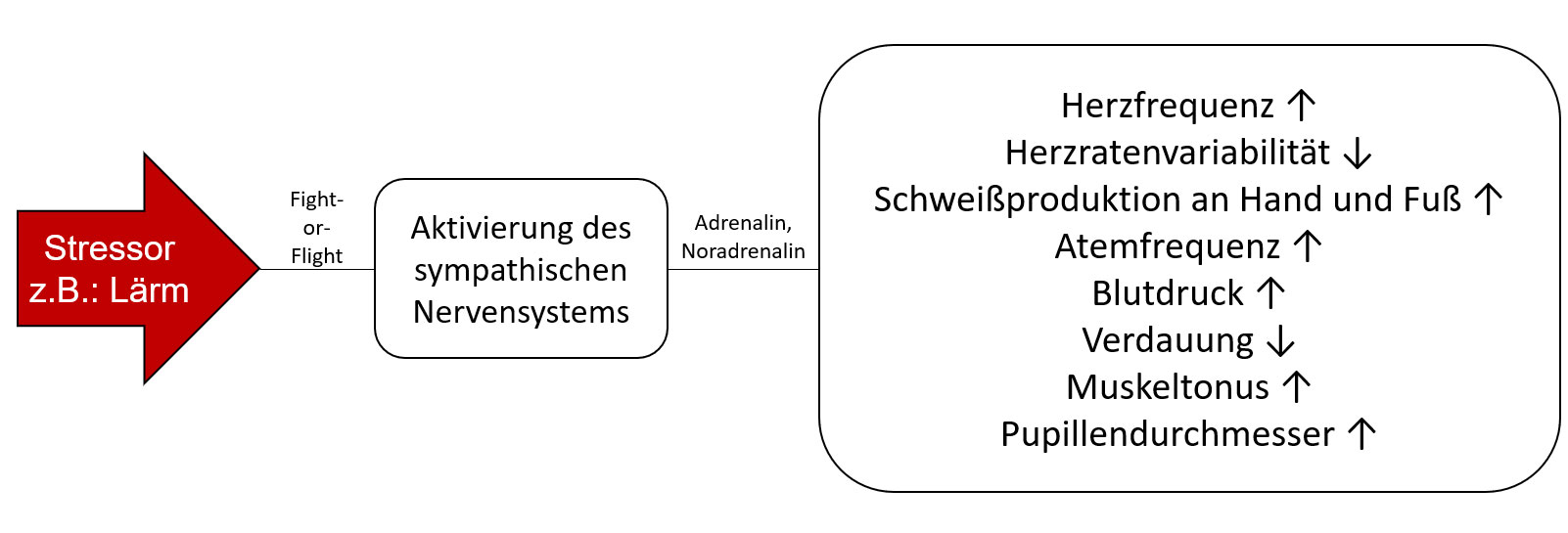 [Translate to 中文:] Fig. 1: Overview of physical changes